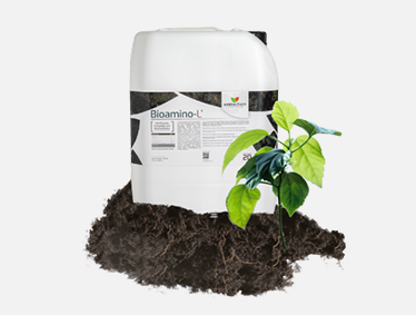 bioaminol