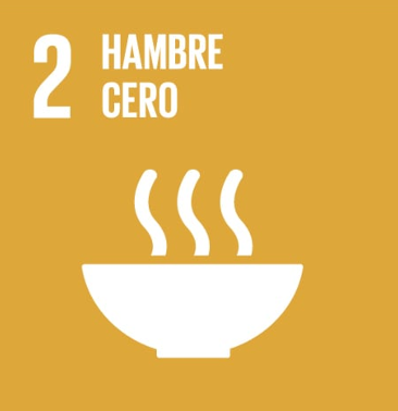 icon-hambre-cero
