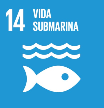 icon-vida-submarina