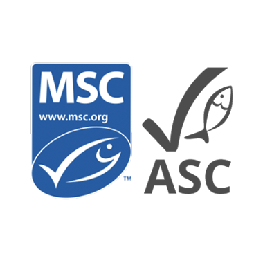 logo-msc